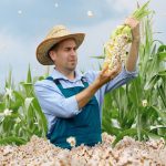 agro-industry-field-harvest